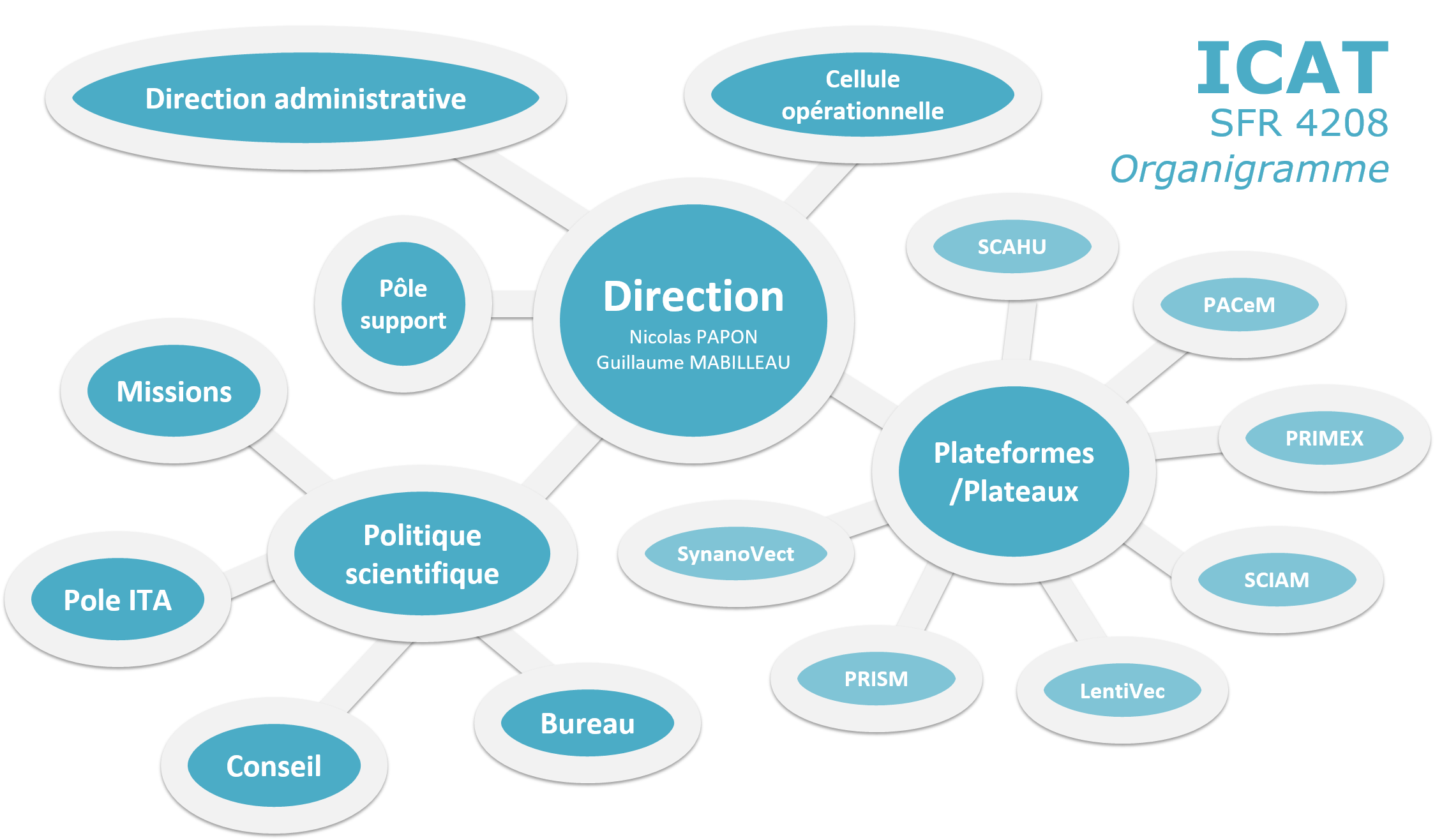 Organization Charts University Of Angers